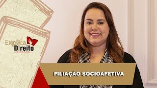 Explica Direito Filiação Socioafetiva  2019 [upl. by Akitahs]