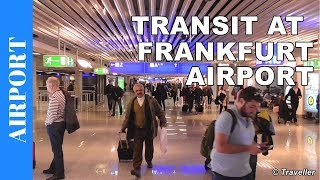 TRANSIT WALK AT FRANKFURT Airport FRA Terminal 1  Connection Flight Transfer Arriving amp Departing [upl. by Baun]